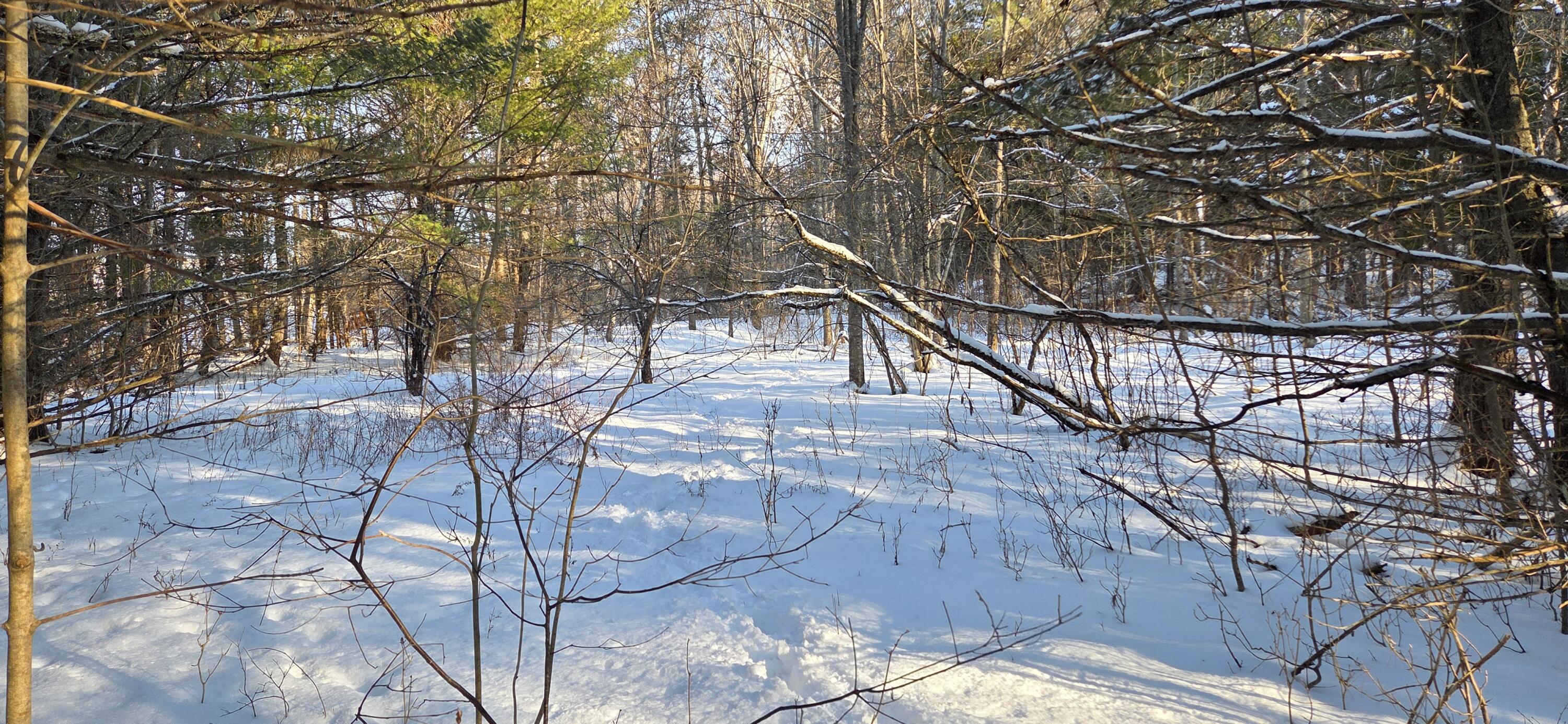 M14-l23a Ferry Road Orrington, ME 04474 - Photo 10 of 13