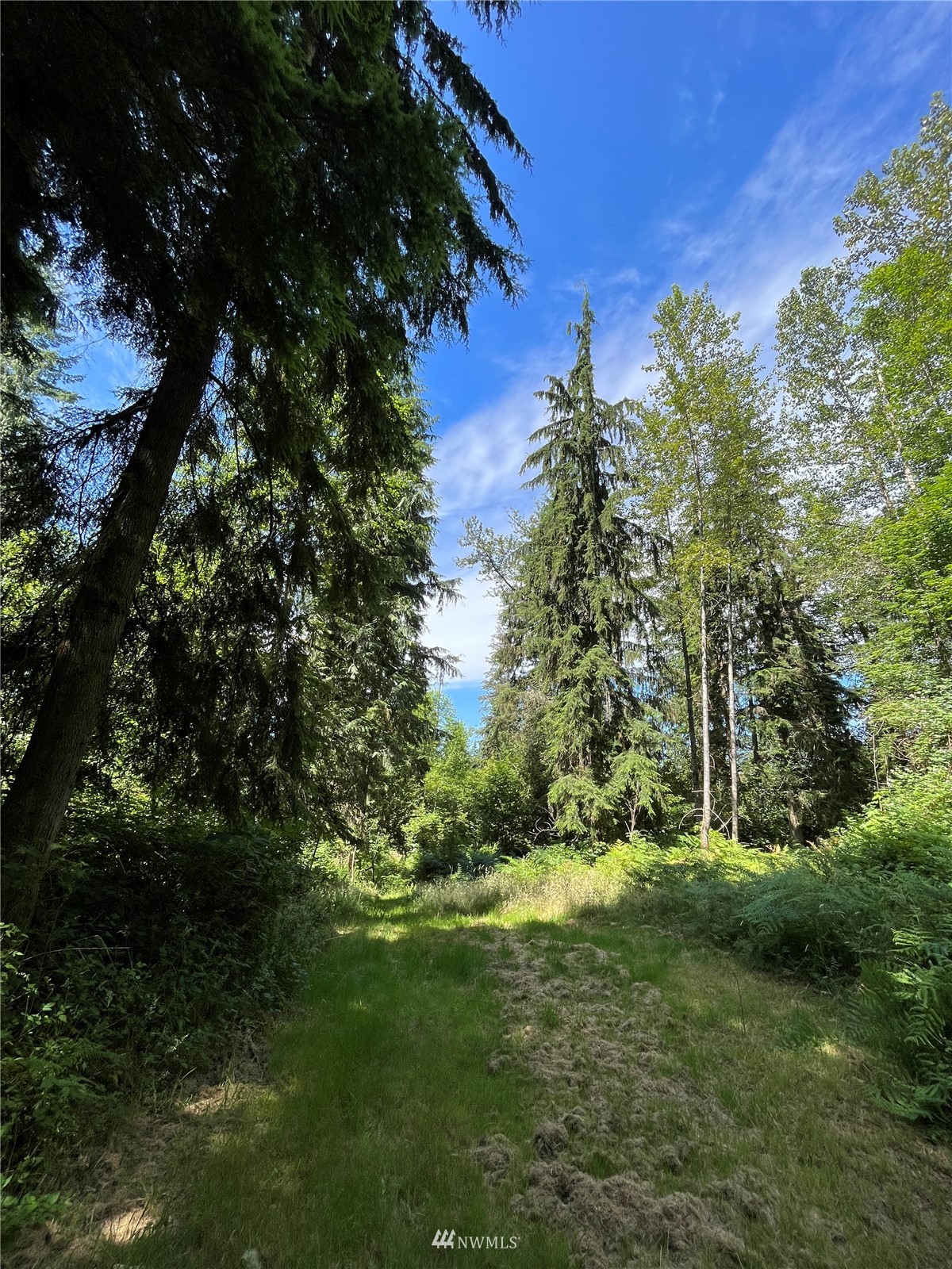 23630 North Lake Cochran Road Monroe, WA 98272 - Photo 8 of 12 Gallery Image 8