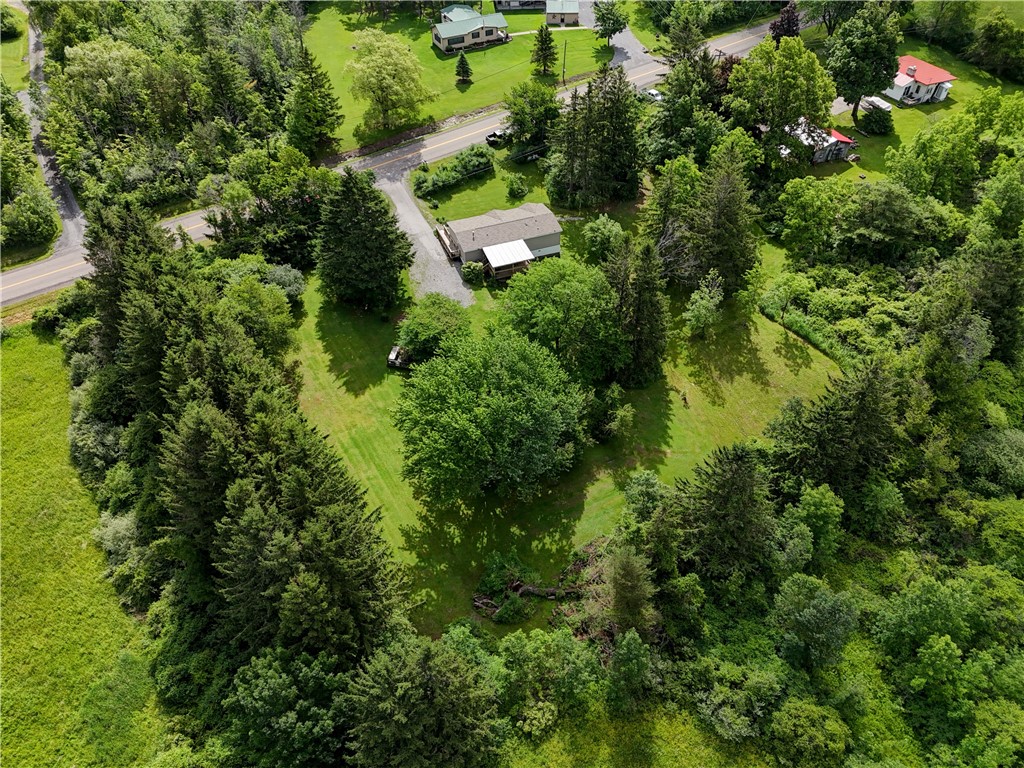 5420 Middle Road North Canadice, NY 14466 - Photo 5 of 47