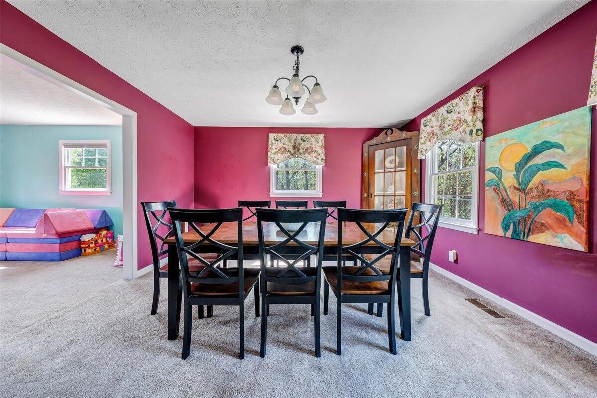 310 Sammys Road Covington, VA 24426 - Photo 12 of 38 07-MIB08068