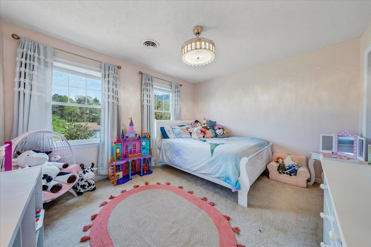 310 Sammys Road Covington, VA 24426 - Photo 28 of 38 23-MIB08125