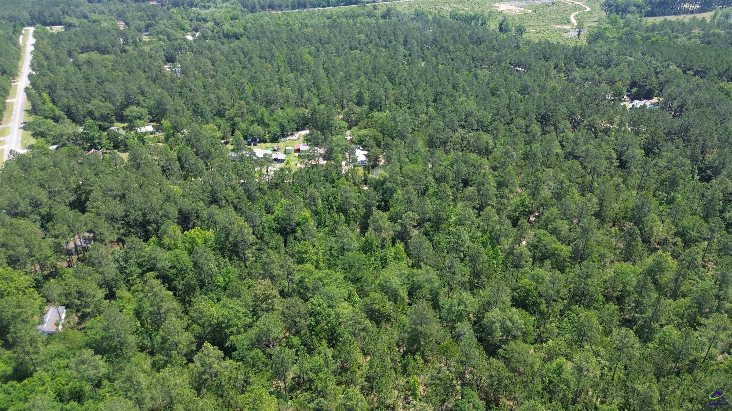 Rock Hill Road Cochran, GA 31014 - Photo 4 of 26 a view of a lush green forest with trees and houses