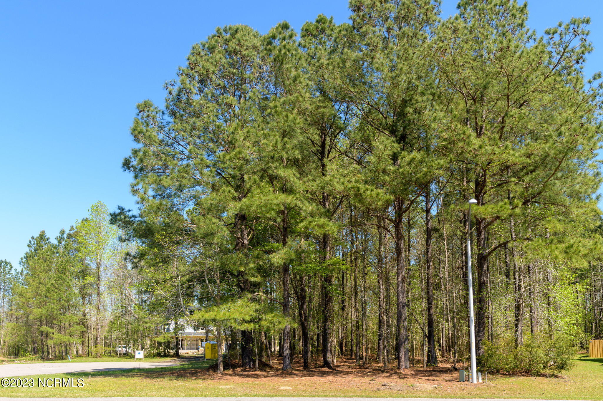 5-web-or-mls-Lot 206 Winding Creek Rd-10