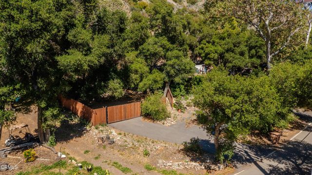 a view of a yard covered with trees