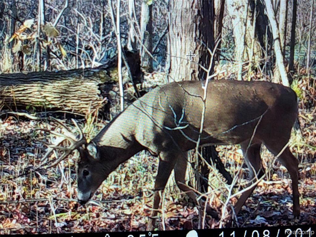 68301 Eight Mile Road South Lyon, MI 48178 - Photo 15 of 16 Gallery Image 15