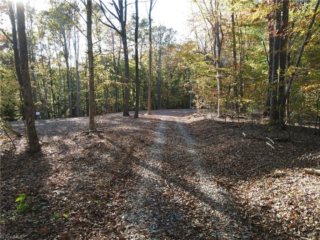 1748 Pleasant Ridge Road Ramseur, NC 27316 - Photo 11 of 23