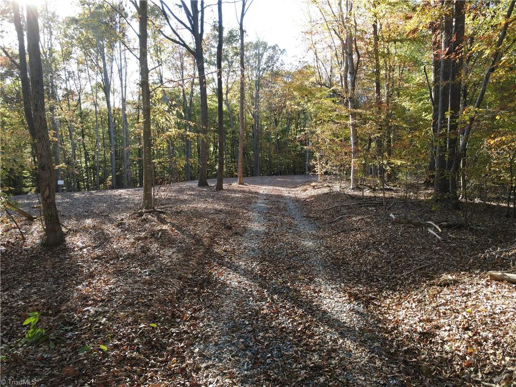 1748 Pleasant Ridge Road Ramseur, NC 27316 - Photo 12 of 23