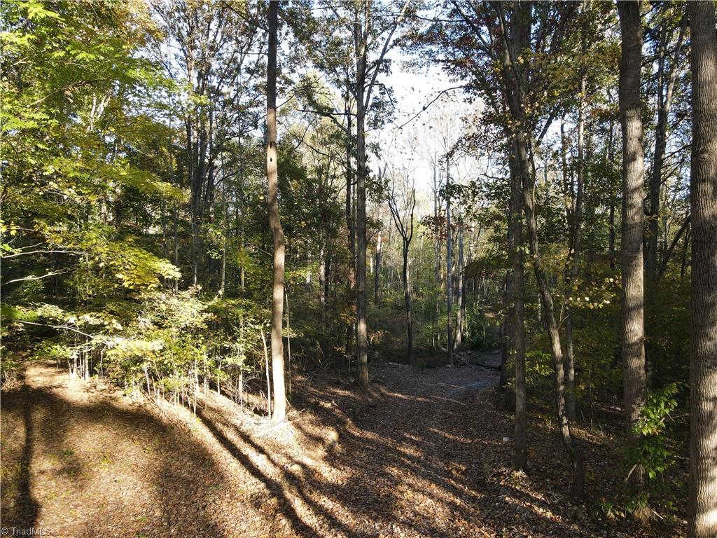 1748 Pleasant Ridge Road Ramseur, NC 27316 - Photo 13 of 23