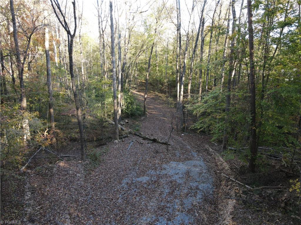 1748 Pleasant Ridge Road Ramseur, NC 27316 - Photo 14 of 23