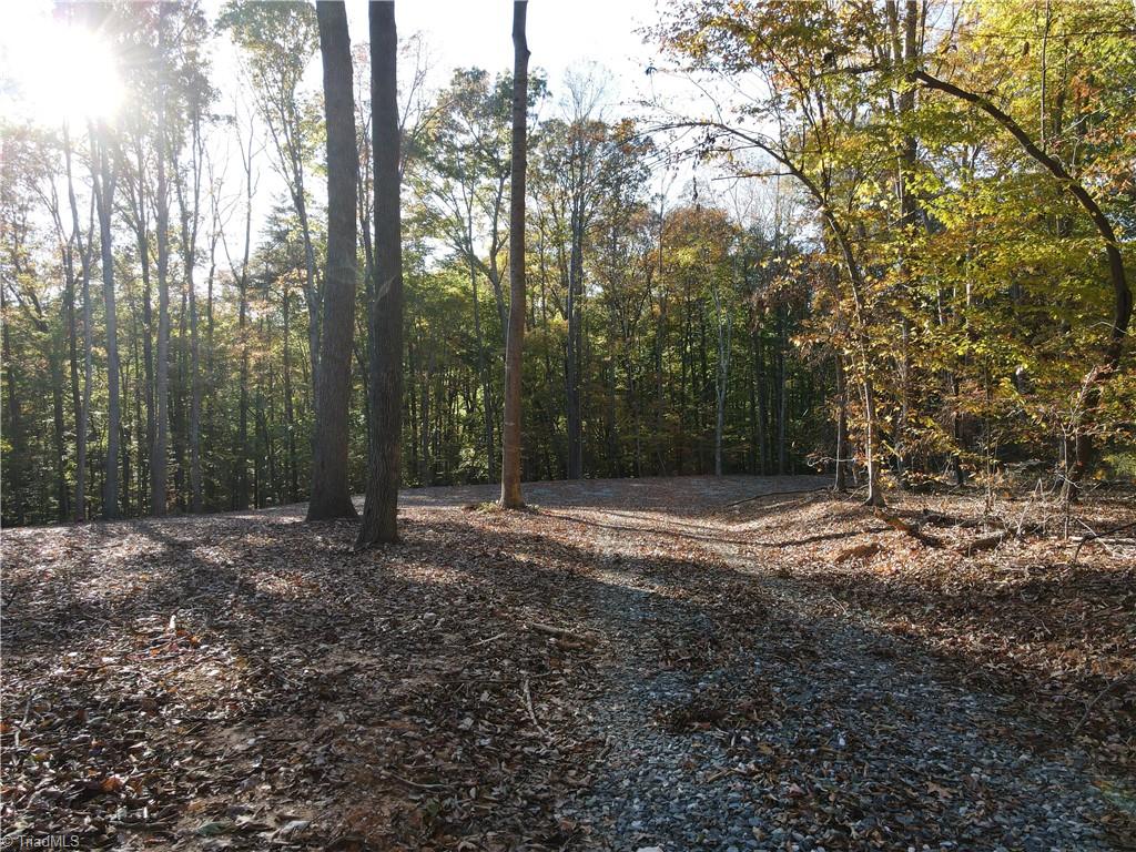 1748 Pleasant Ridge Road Ramseur, NC 27316 - Photo 3 of 23