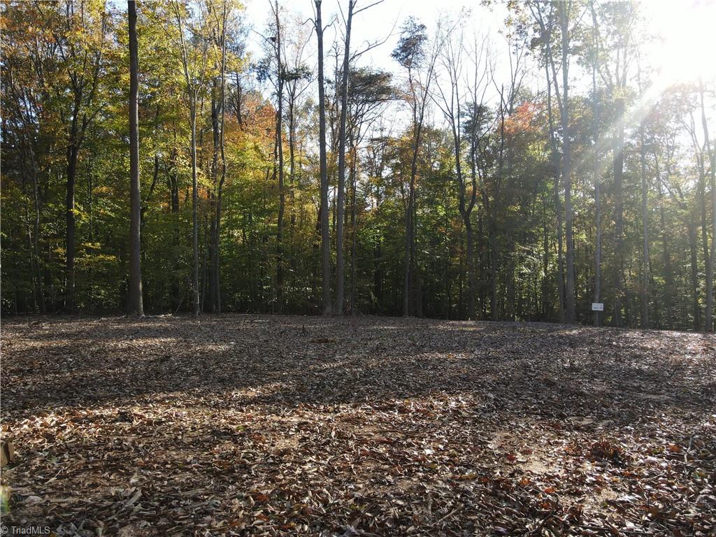 1748 Pleasant Ridge Road Ramseur, NC 27316 - Photo 4 of 23