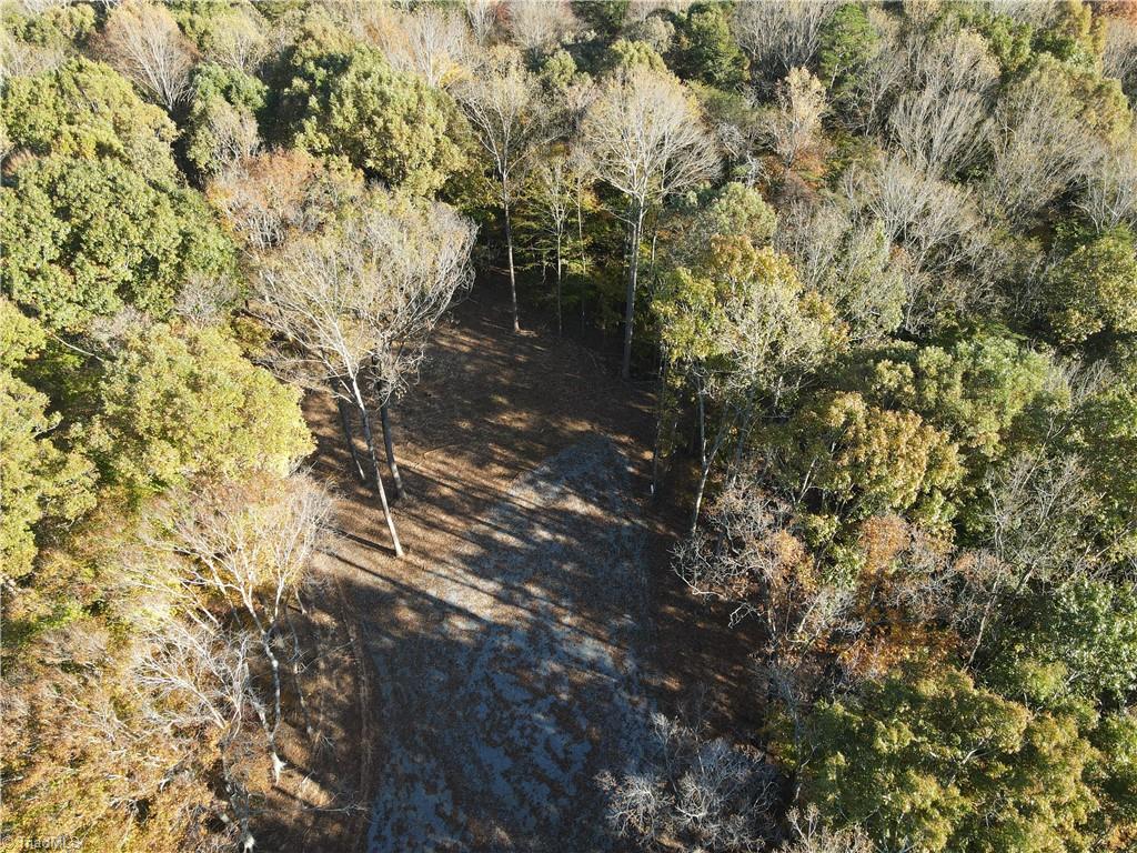 1748 Pleasant Ridge Road Ramseur, NC 27316 - Photo 9 of 23