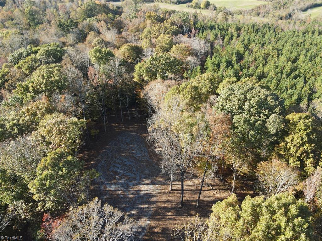 1748 Pleasant Ridge Road Ramseur, NC 27316 - Photo 10 of 23