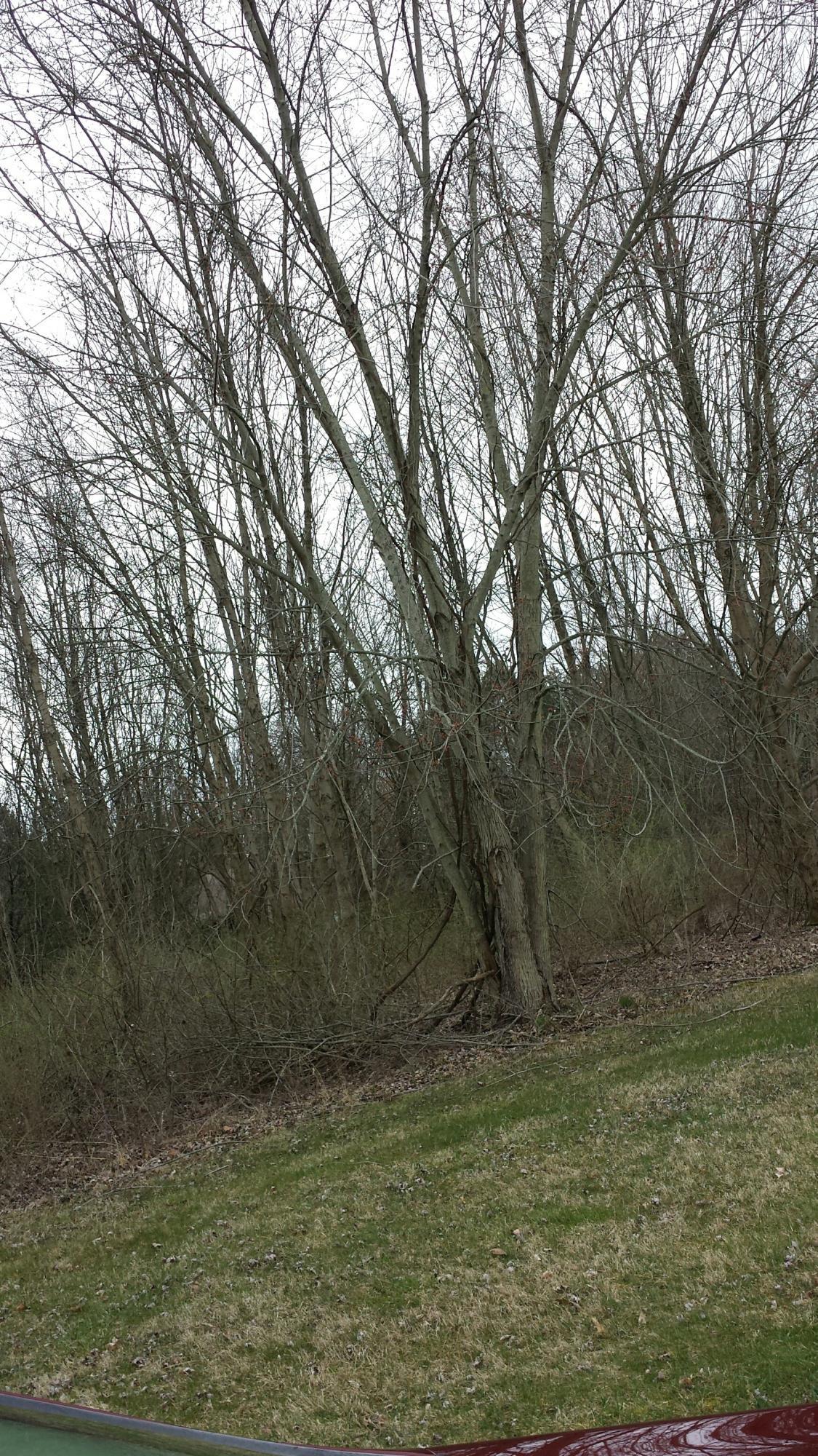 0 Stoudertown Road Northwest Pickerington, OH 43147 - Photo 1 of 1