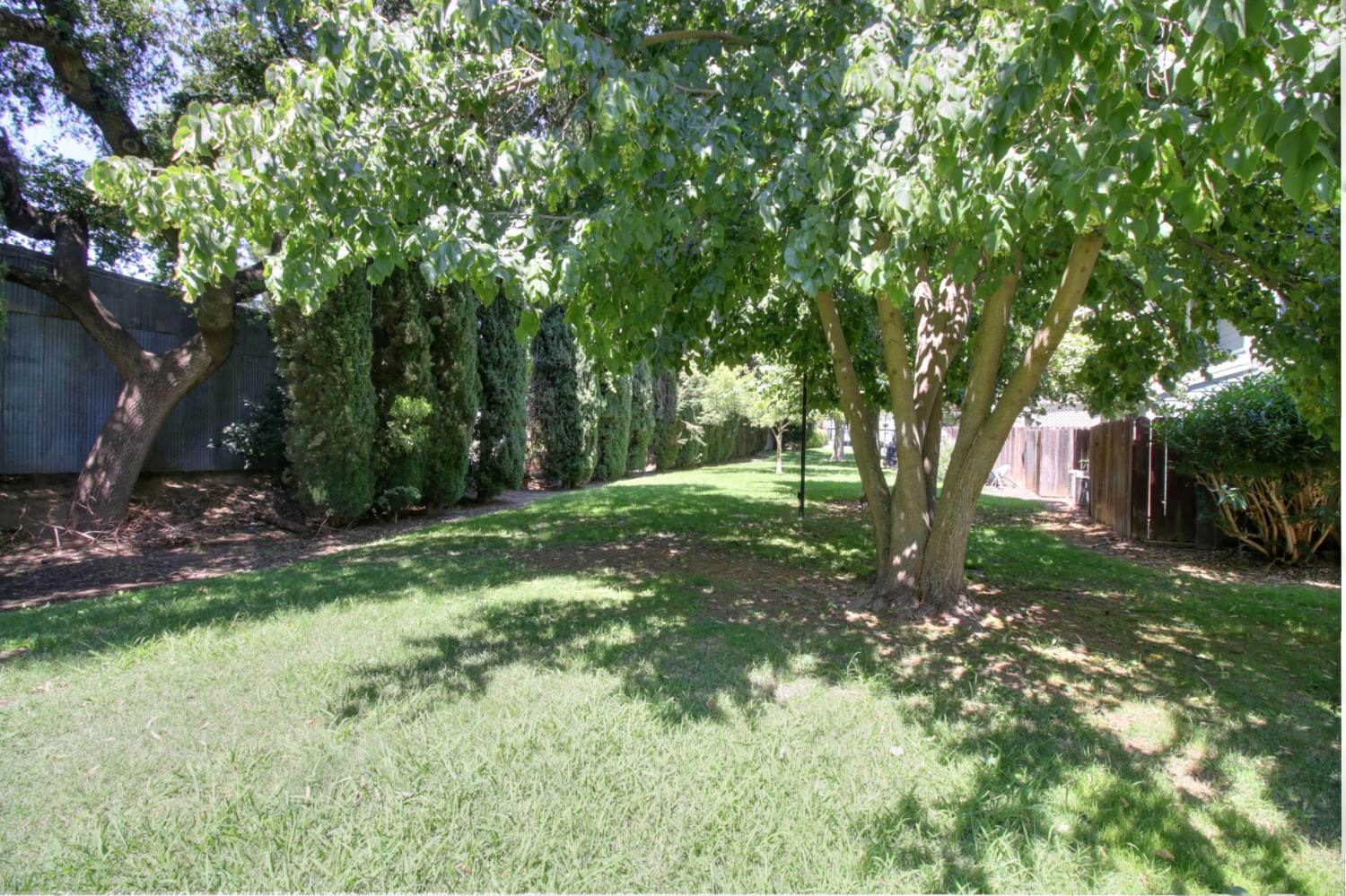6114 Shadow Lane Citrus Heights, CA 95621 - Photo 24 of 56 a backyard of a house with lots of green space
