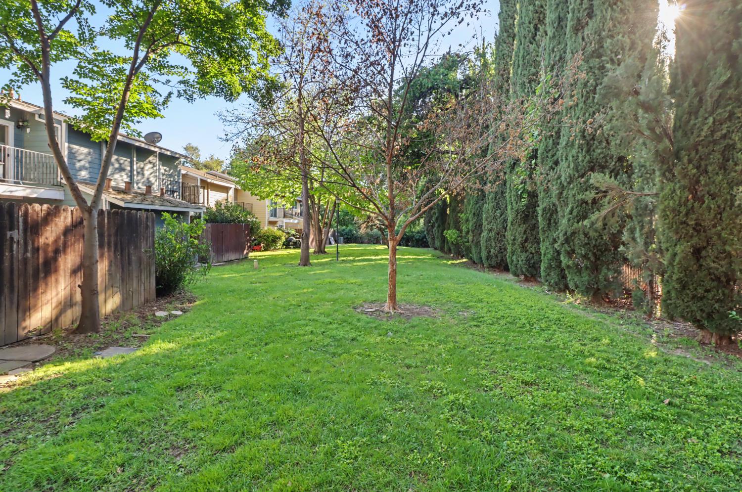 6114 Shadow Lane Citrus Heights, CA 95621 - Photo 54 of 56 a view of a park with large trees