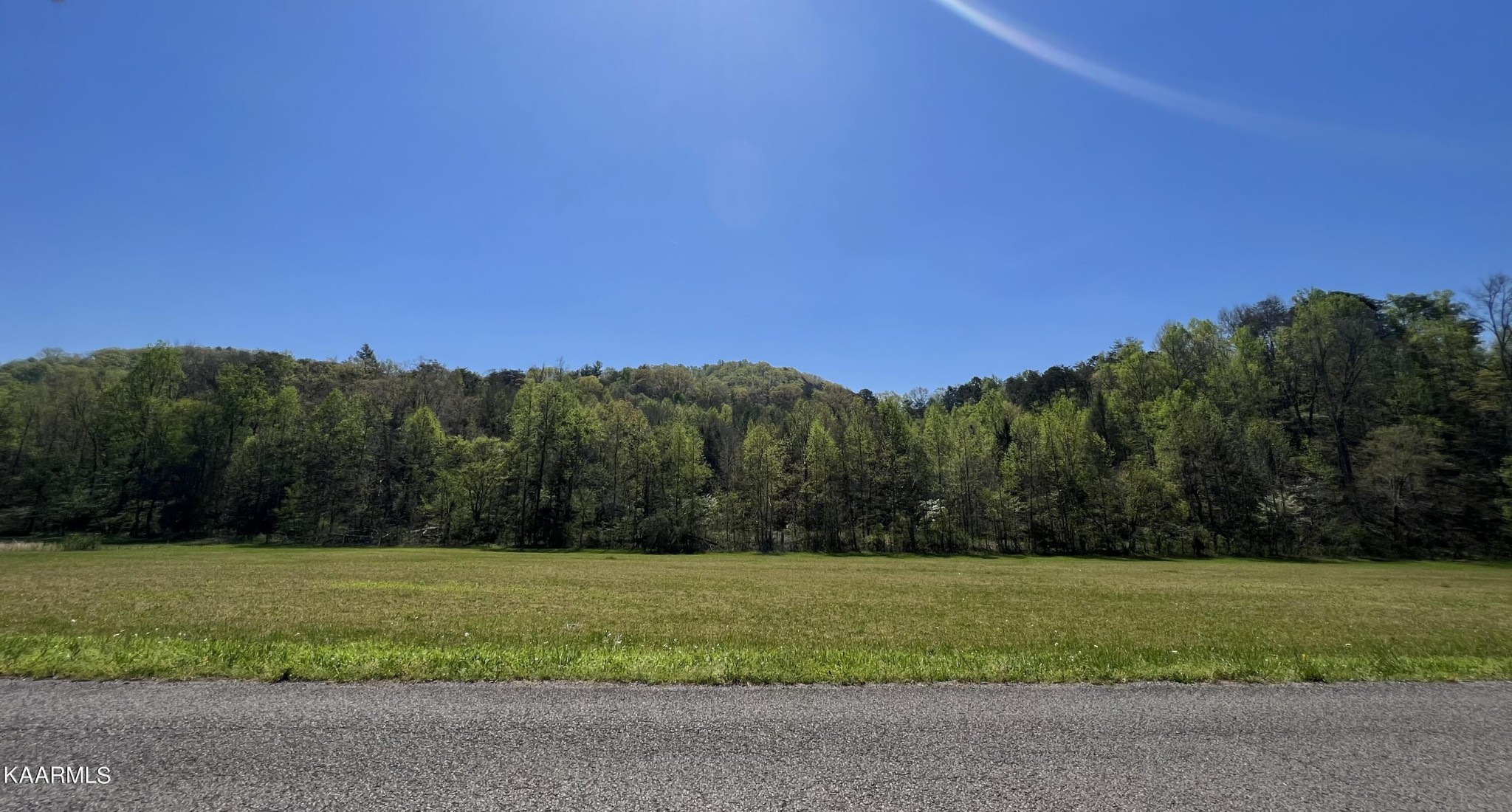 1440 Belltown Road Tellico Plains, TN 37385 - Photo 1 of 2 Gallery Image 1