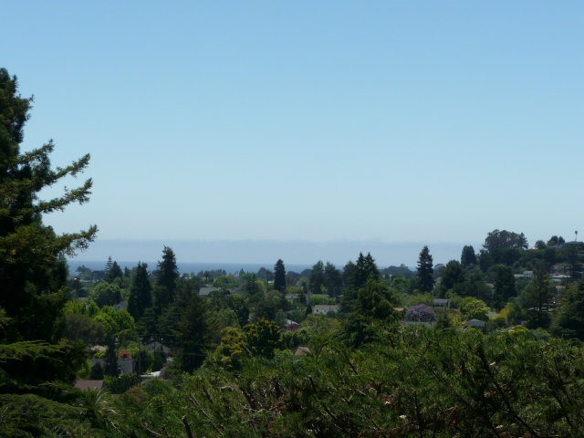 517 High Street Santa Cruz, CA 95060 - Photo 2 of 10