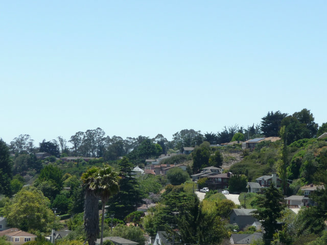 517 High Street Santa Cruz, CA 95060 - Photo 9 of 10 a view of a city with lush green forest