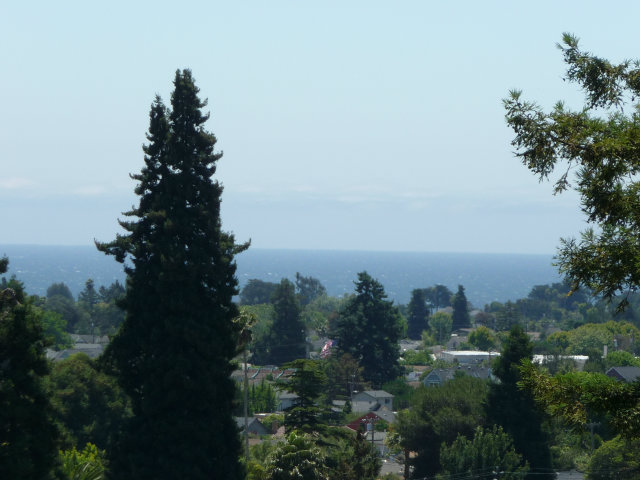517 High Street Santa Cruz, CA 95060 - Photo 10 of 10 a view of a city