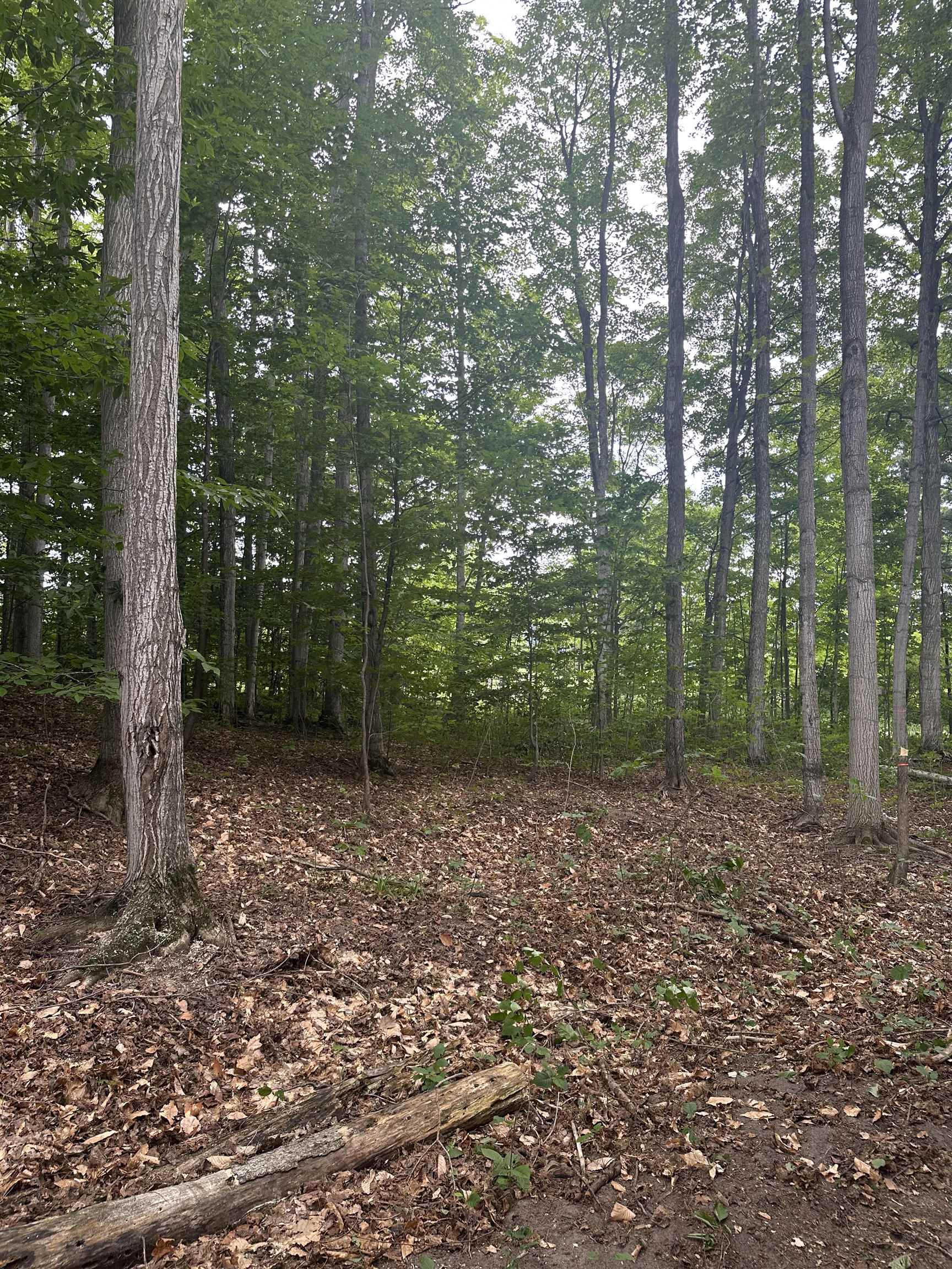 11599 South Tower Road, Unit LOT: 6 Maple City, MI 49664 - Photo 7 of 8