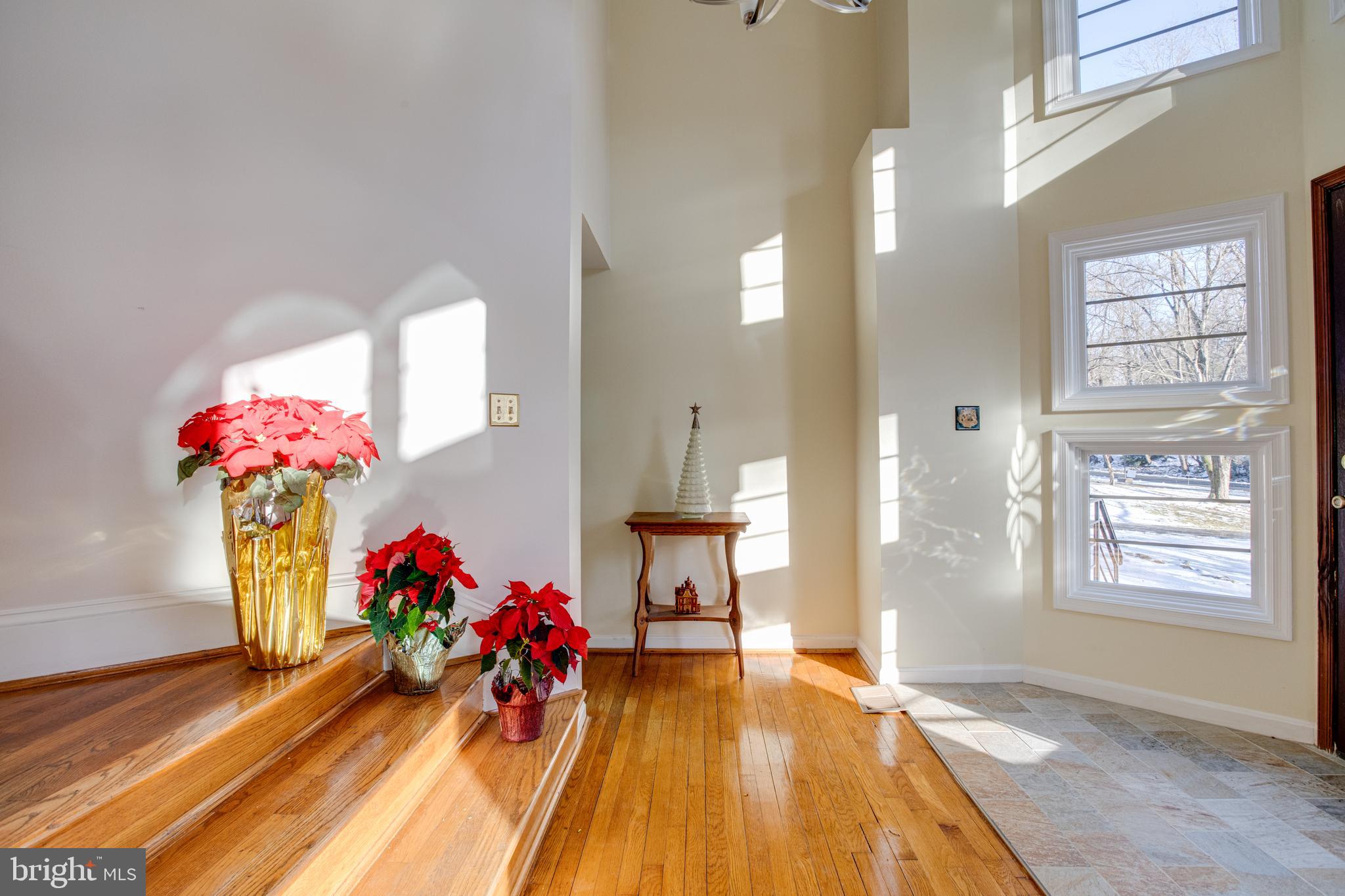 612 Apple Grove Road Silver Spring, MD 20904 - Photo 41 of 77 Gallery Image 41