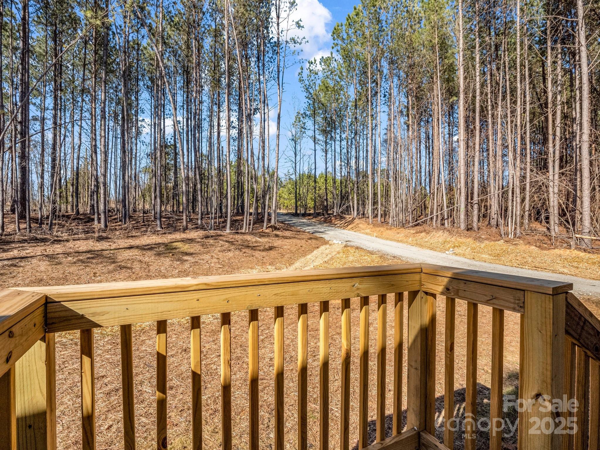 810 Tiney Road Ellenboro, NC 28040 - Photo 7 of 33 Gallery Image 7