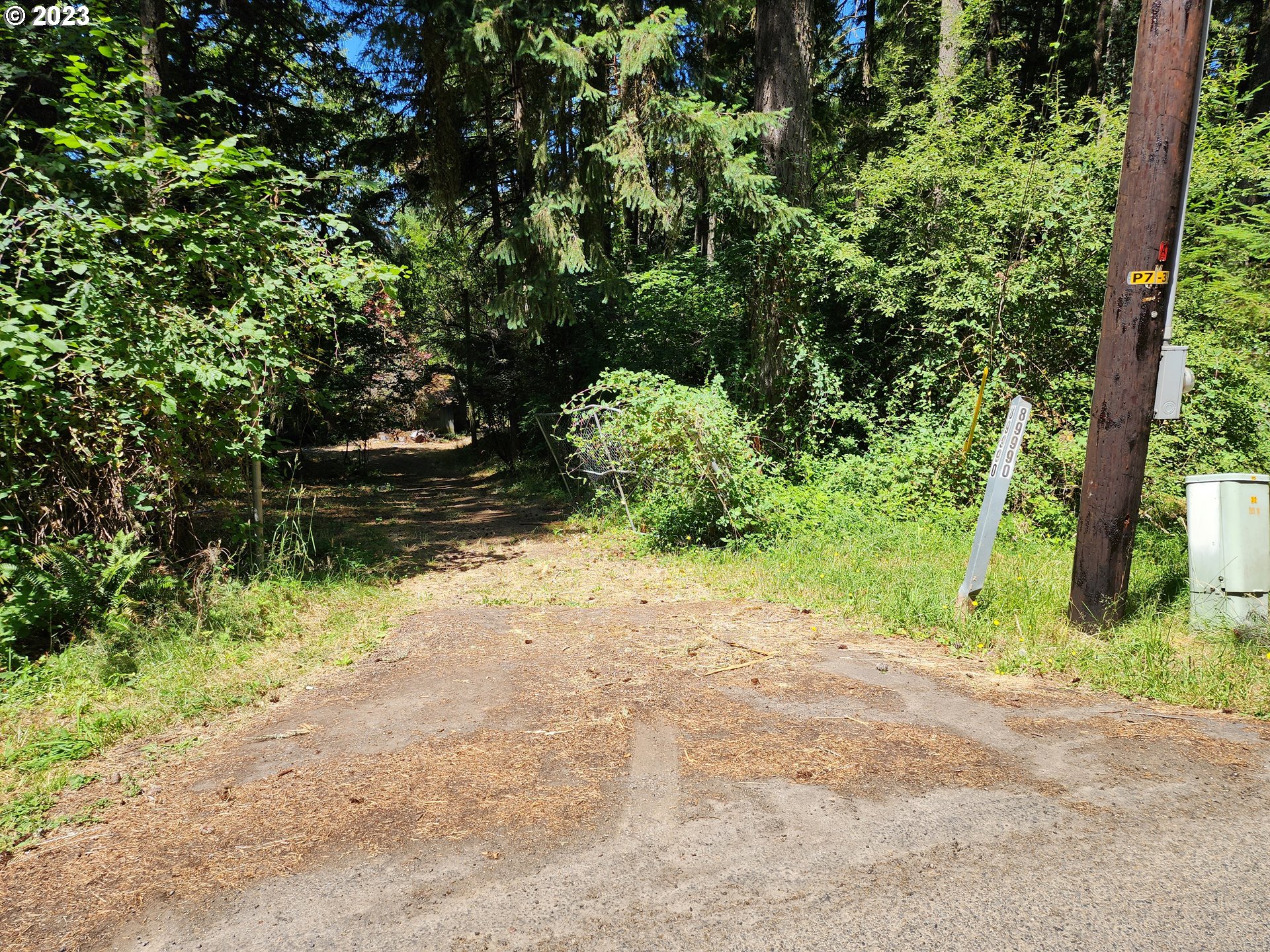 89990 Demming Road Elmira, OR 97437 - Photo 1 of 20 Gallery Image 1