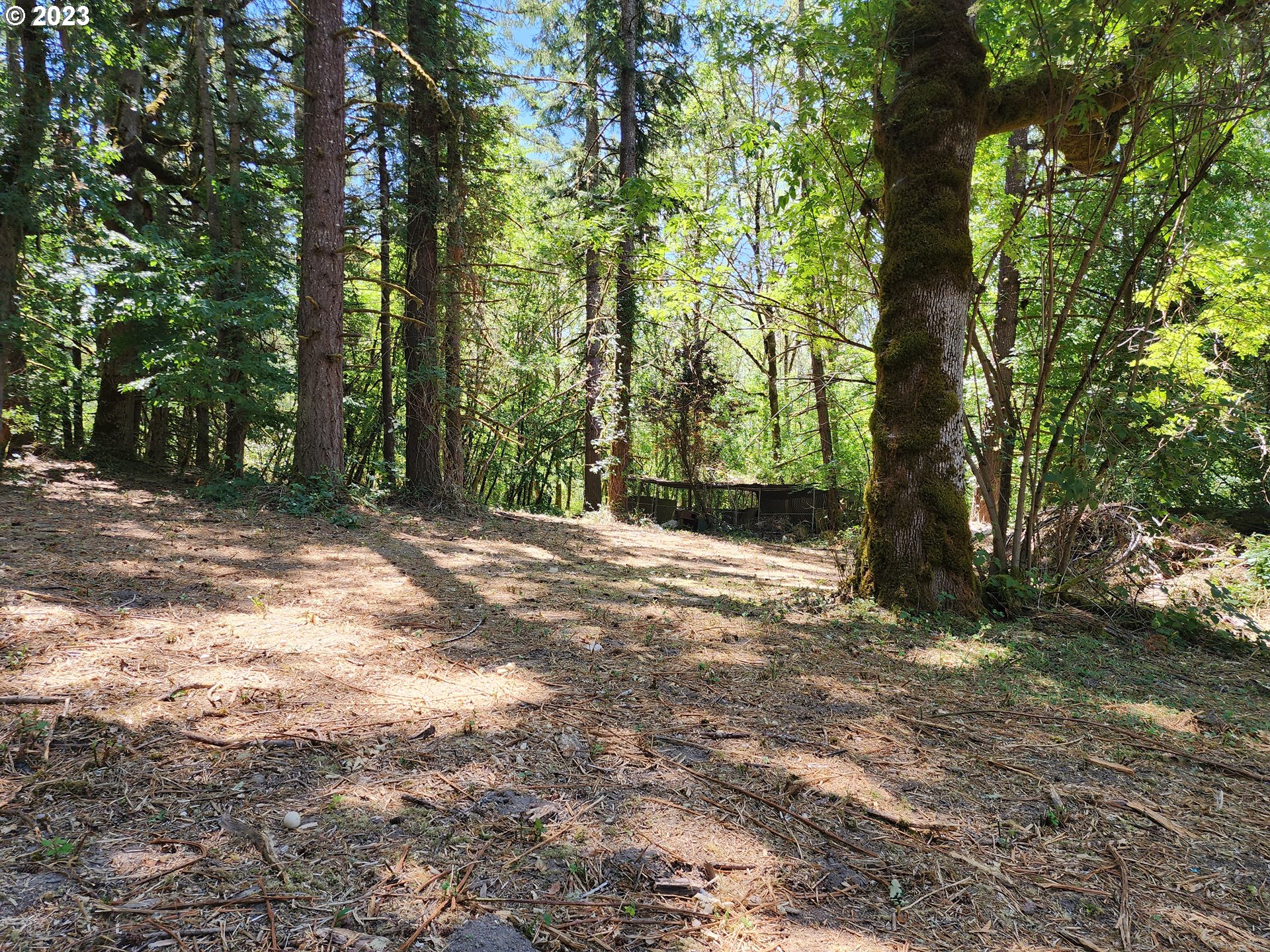 89990 Demming Road Elmira, OR 97437 - Photo 12 of 20 Gallery Image 12