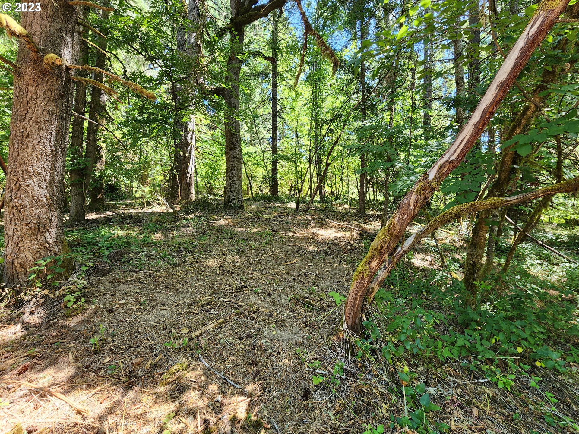 89990 Demming Road Elmira, OR 97437 - Photo 13 of 20 Gallery Image 13