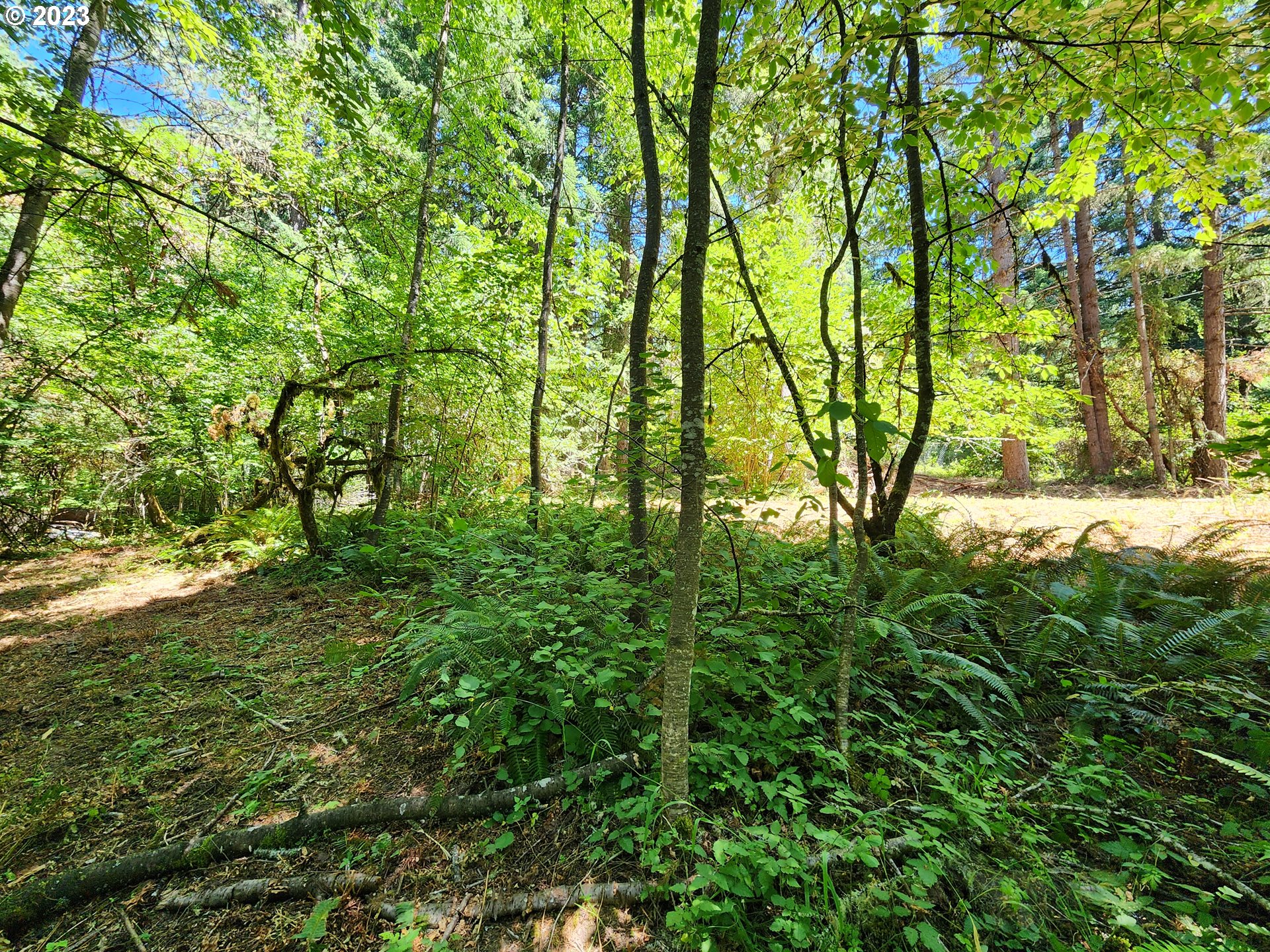 89990 Demming Road Elmira, OR 97437 - Photo 15 of 20 Gallery Image 15
