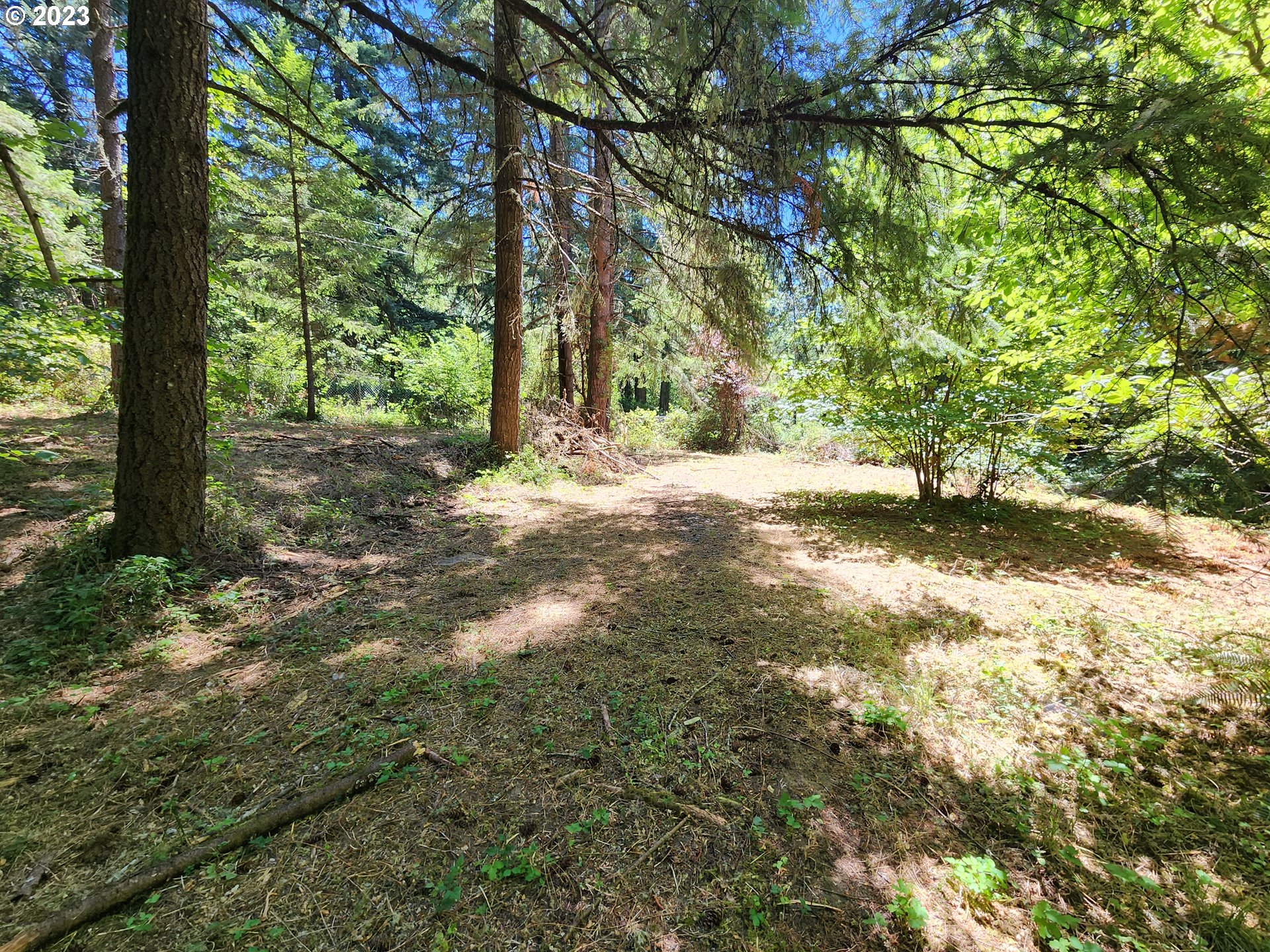 89990 Demming Road Elmira, OR 97437 - Photo 16 of 20 Gallery Image 16