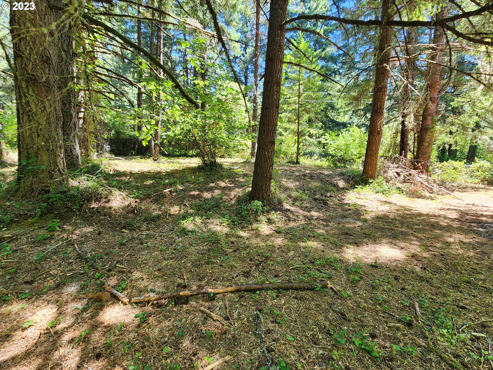 89990 Demming Road Elmira, OR 97437 - Photo 17 of 20 Gallery Image 17