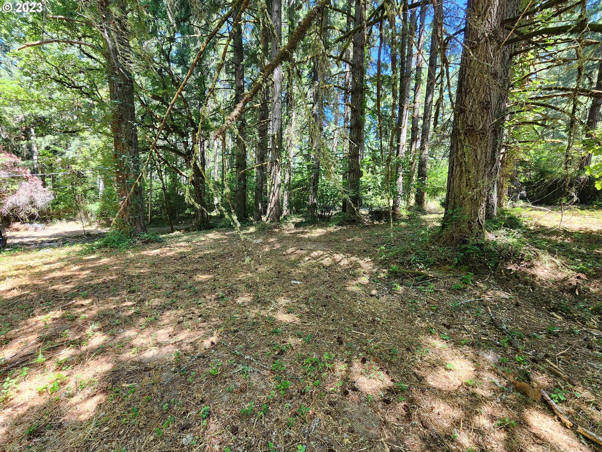 89990 Demming Road Elmira, OR 97437 - Photo 18 of 20 Gallery Image 18