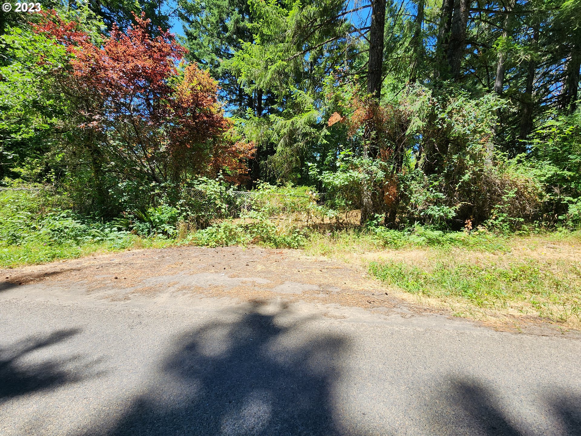 89990 Demming Road Elmira, OR 97437 - Photo 19 of 20 Gallery Image 19