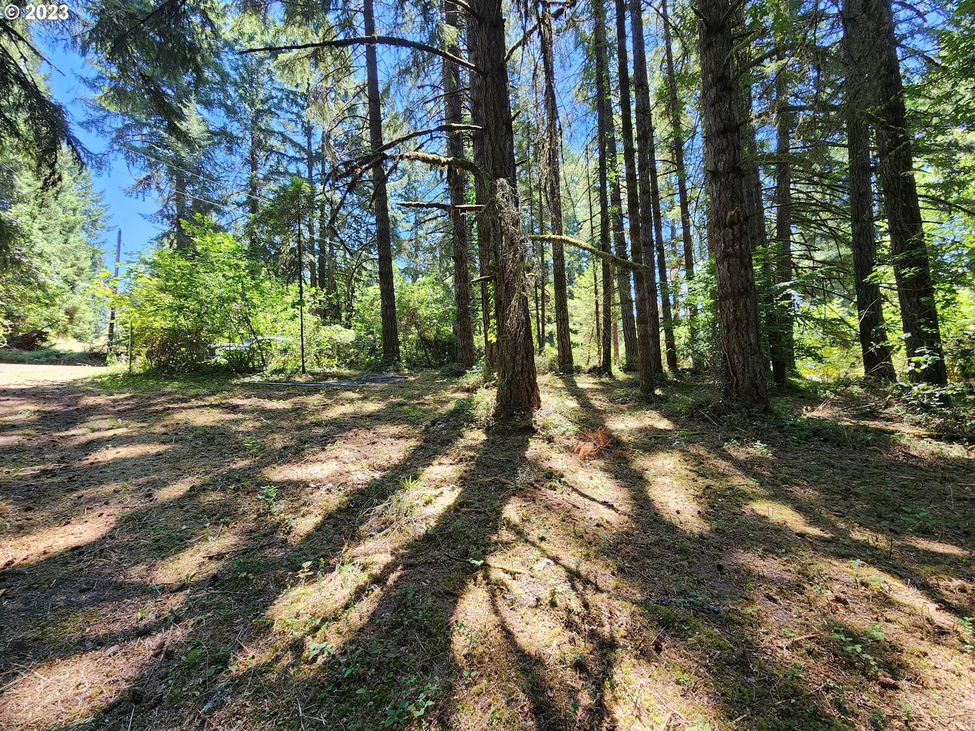 89990 Demming Road Elmira, OR 97437 - Photo 3 of 20 Gallery Image 3