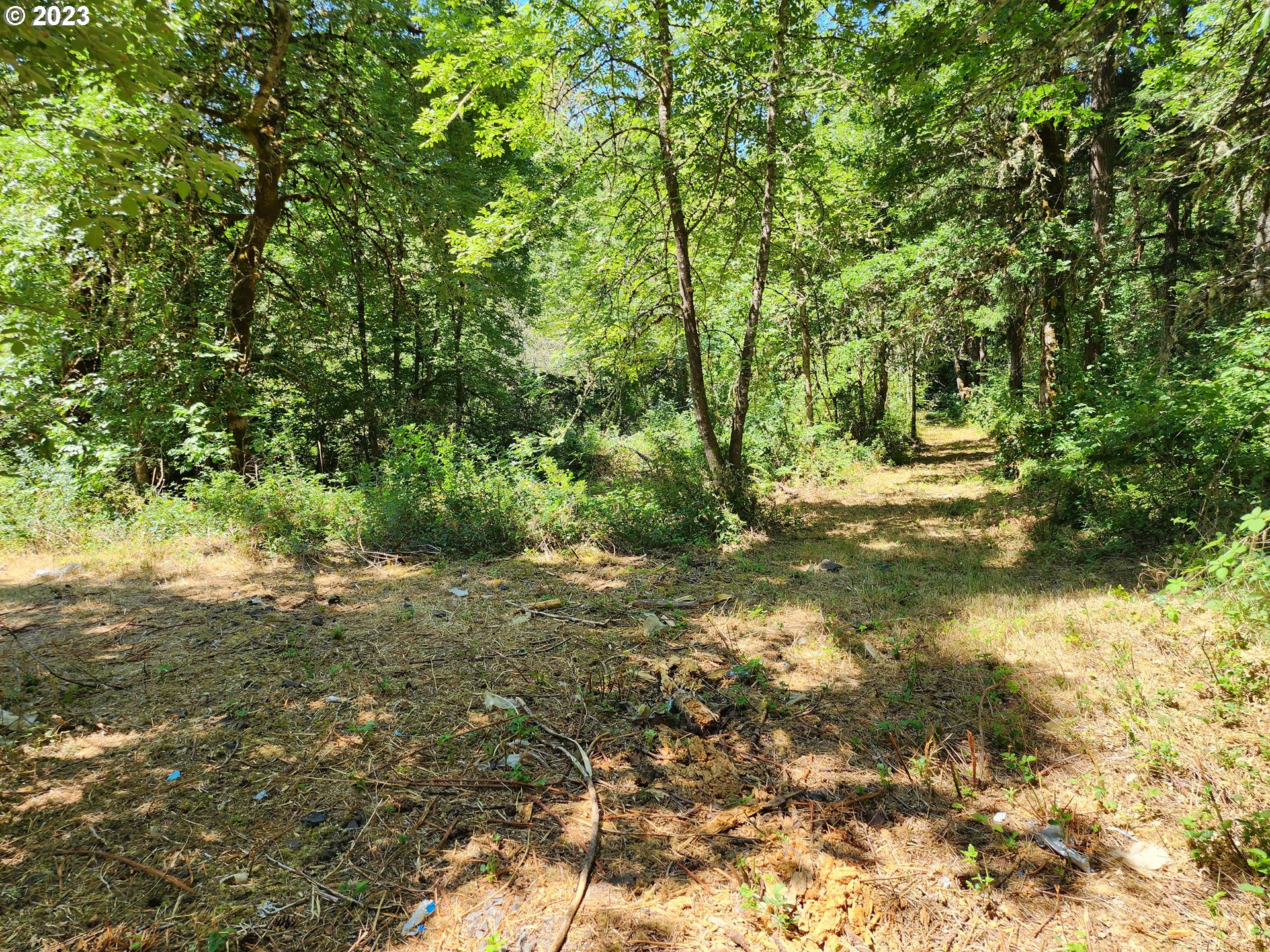 89990 Demming Road Elmira, OR 97437 - Photo 6 of 20 Gallery Image 6
