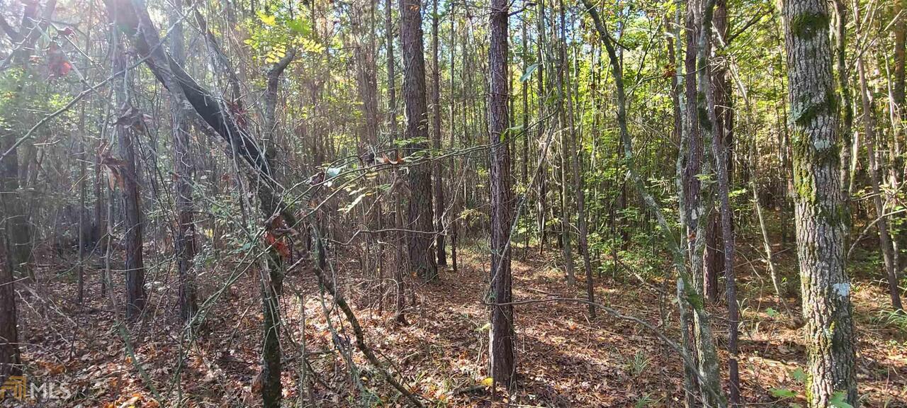 0 Oconee Forest Road Monticello, GA 31064 - Photo 1 of 1 Gallery Image 1