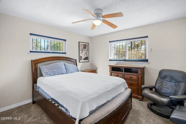 a bedroom with a bed and a couch