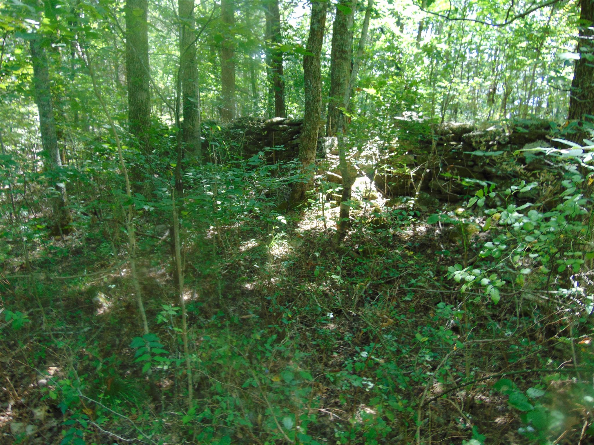 2663 Oakley Road Liberty, TN 37095 - Photo 13 of 30