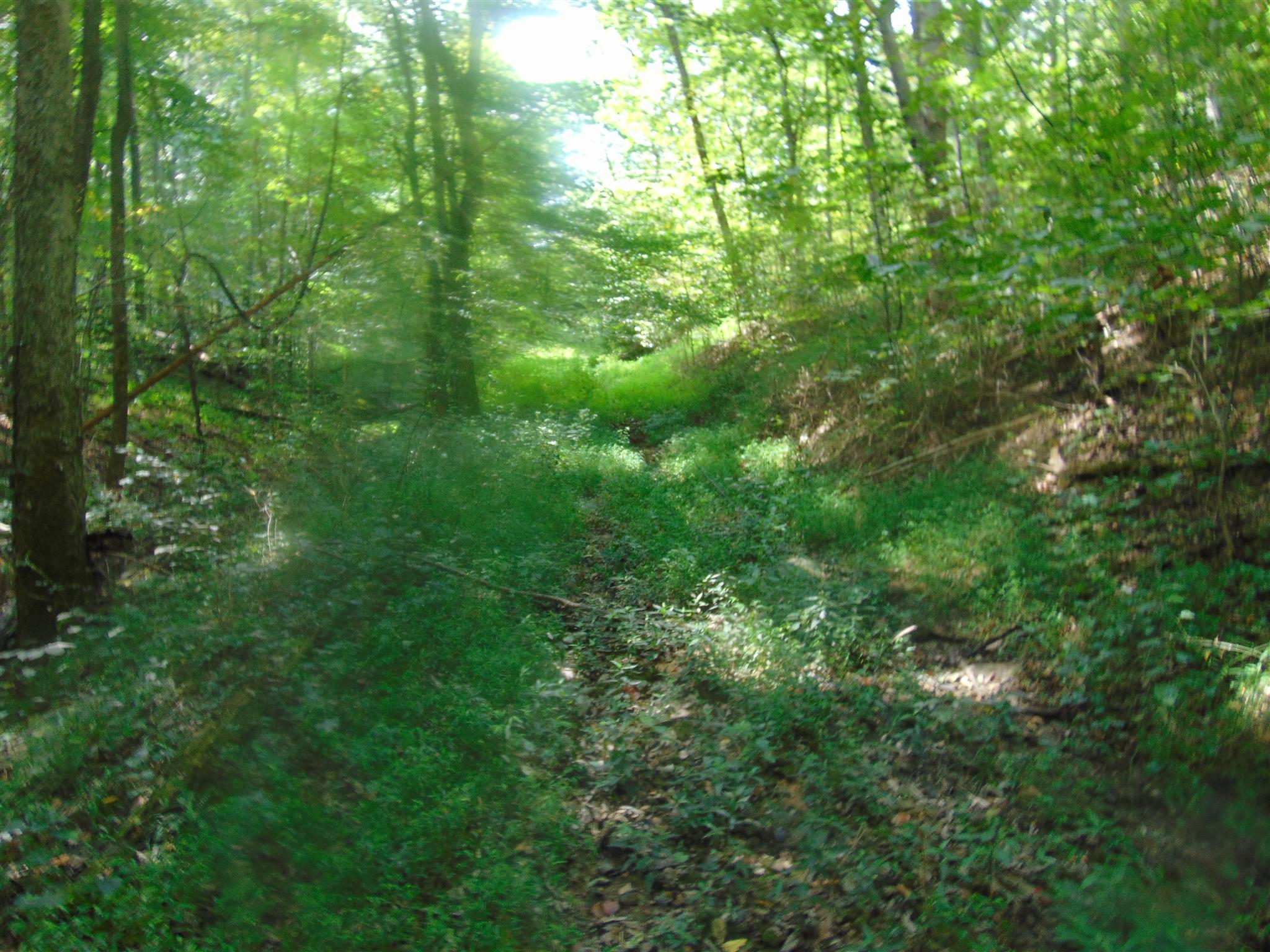 2663 Oakley Road Liberty, TN 37095 - Photo 14 of 30