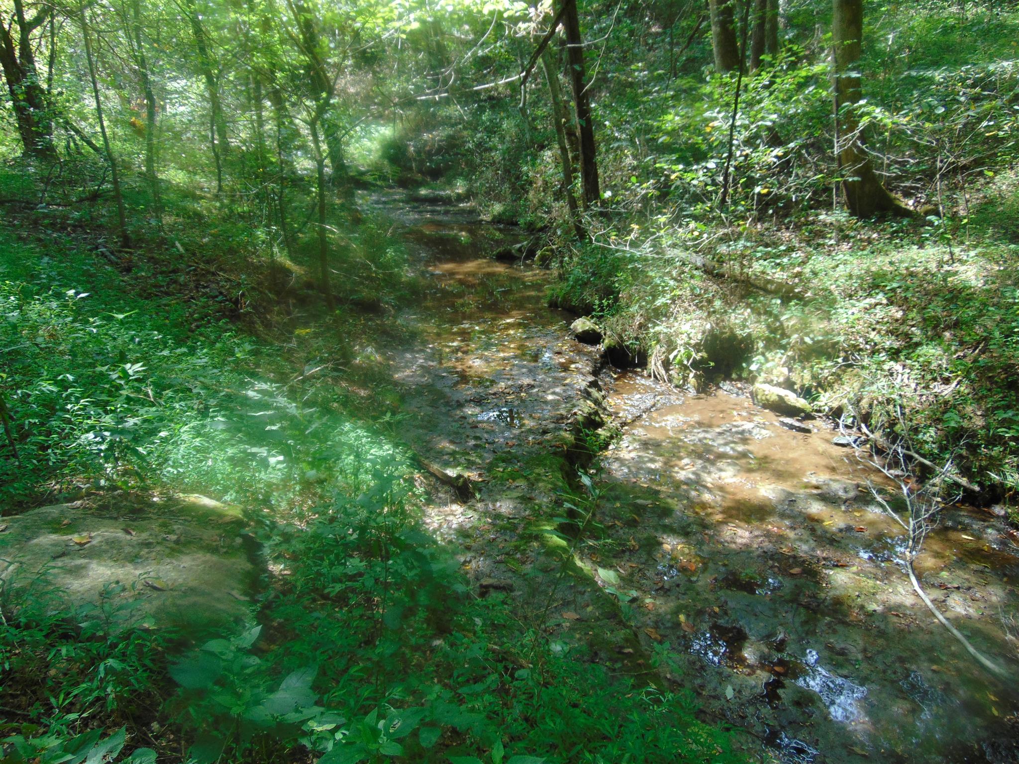 2663 Oakley Road Liberty, TN 37095 - Photo 16 of 30