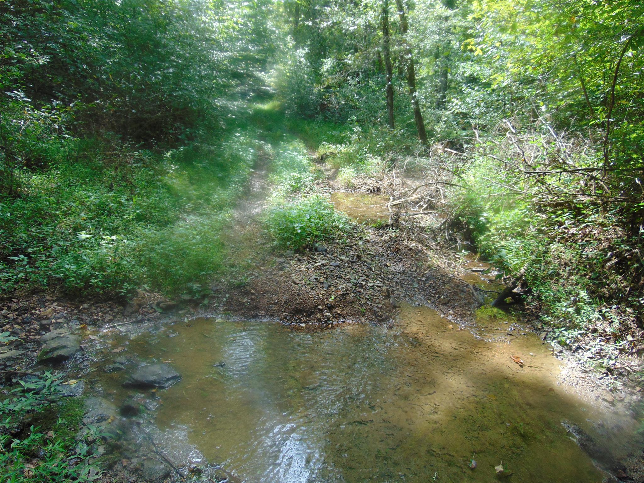 2663 Oakley Road Liberty, TN 37095 - Photo 17 of 30