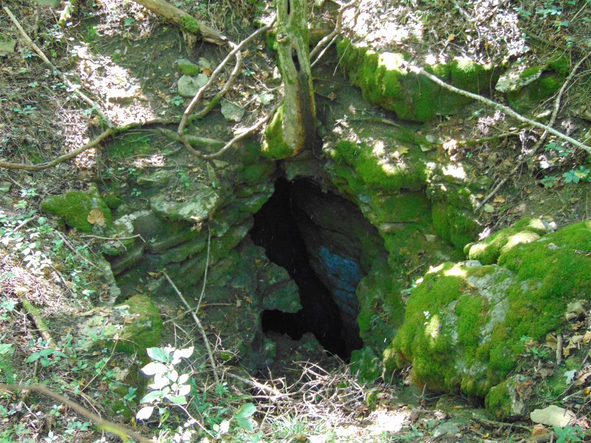 2663 Oakley Road Liberty, TN 37095 - Photo 30 of 30 Cave entrance