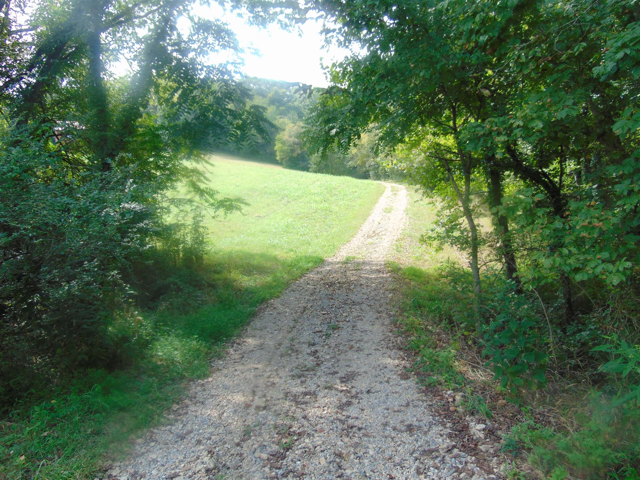2663 Oakley Road Liberty, TN 37095 - Photo 10 of 30