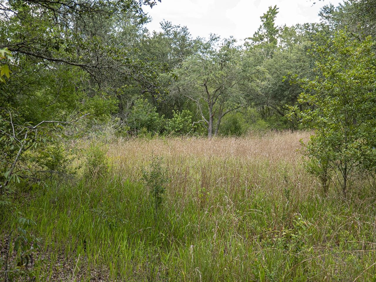 Vacant Southwest Hike Lake Road Madison, FL 32340 - Photo 28 of 35