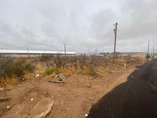 a view of a beach with a large bridge