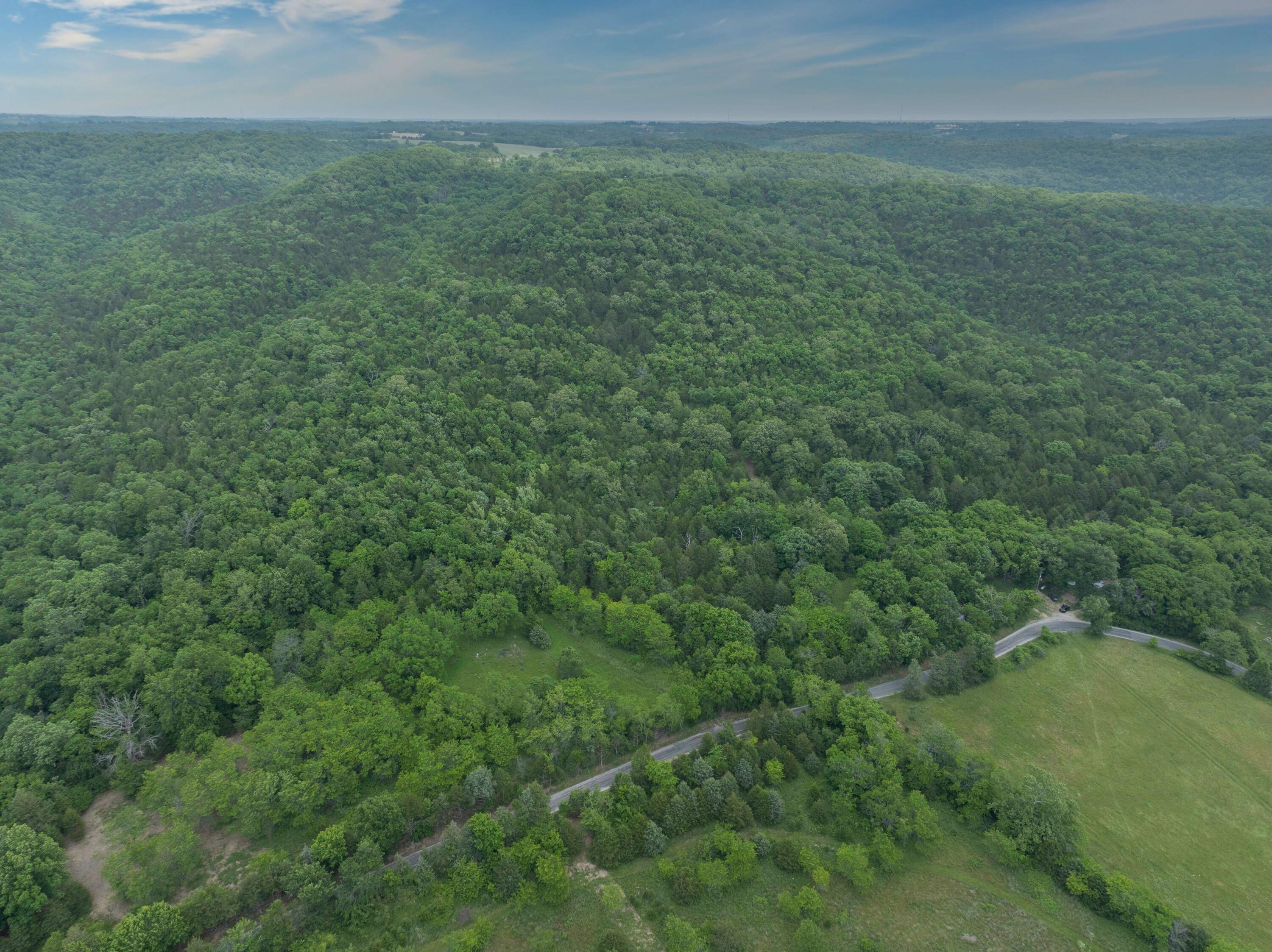 0 Reno Springs Road Walnut Shade, MO 65771 - Photo 8 of 10 DJI_0814