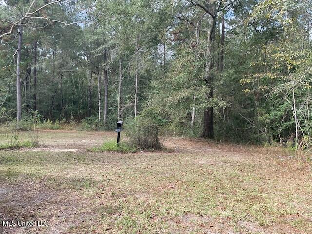 30 South Walker Road Perkinston, MS 39573 - Photo 11 of 13 IMG_4361