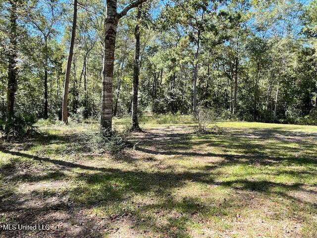 30 South Walker Road Perkinston, MS 39573 - Photo 13 of 13 IMG_3656